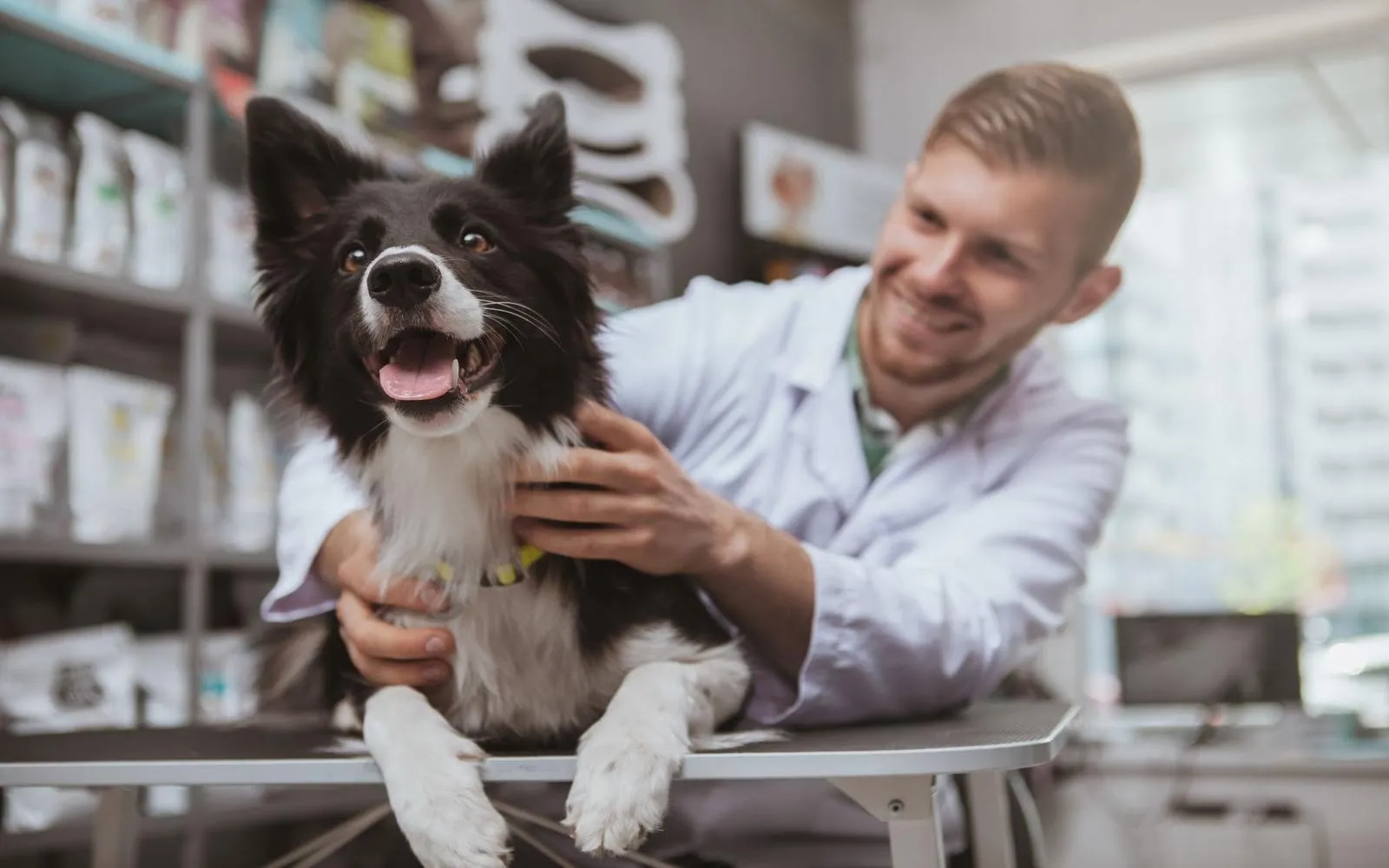 Essential Pet Care Advice for Every Owner
